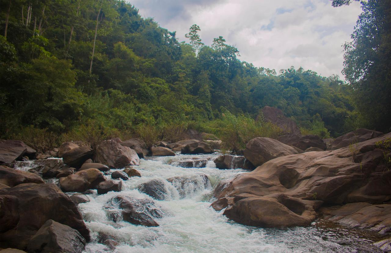 Jungle River Ginigathena Extérieur photo