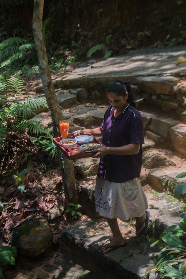 Jungle River Ginigathena Extérieur photo