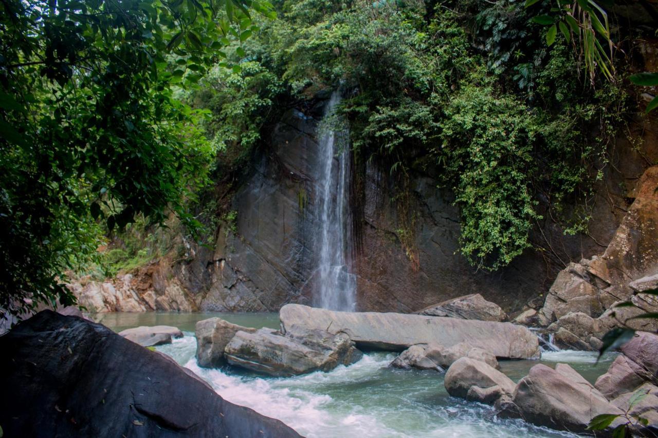 Jungle River Ginigathena Extérieur photo
