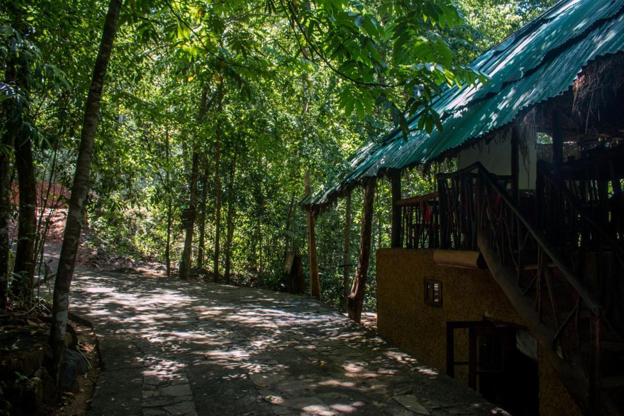 Jungle River Ginigathena Extérieur photo